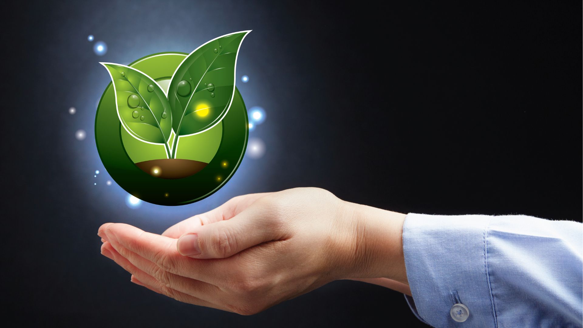 eco-wereld-in-jouw-handen