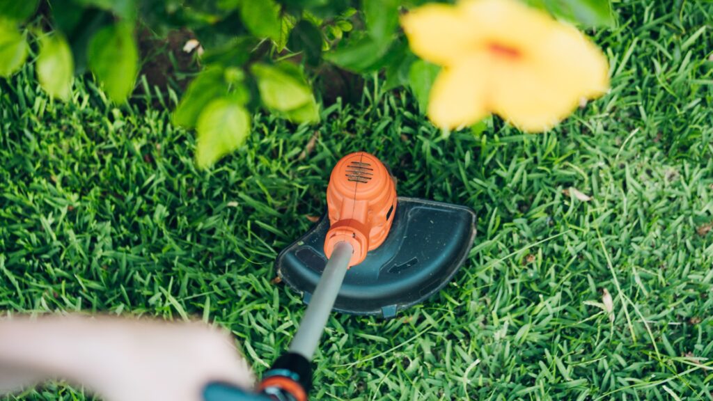 scherpe-foto-met-bloem