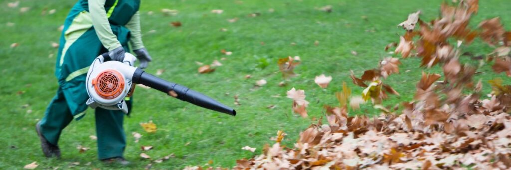 beste-bladblazer-bladeren-blazen