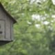 vogelhuisje op paal met bomen banner